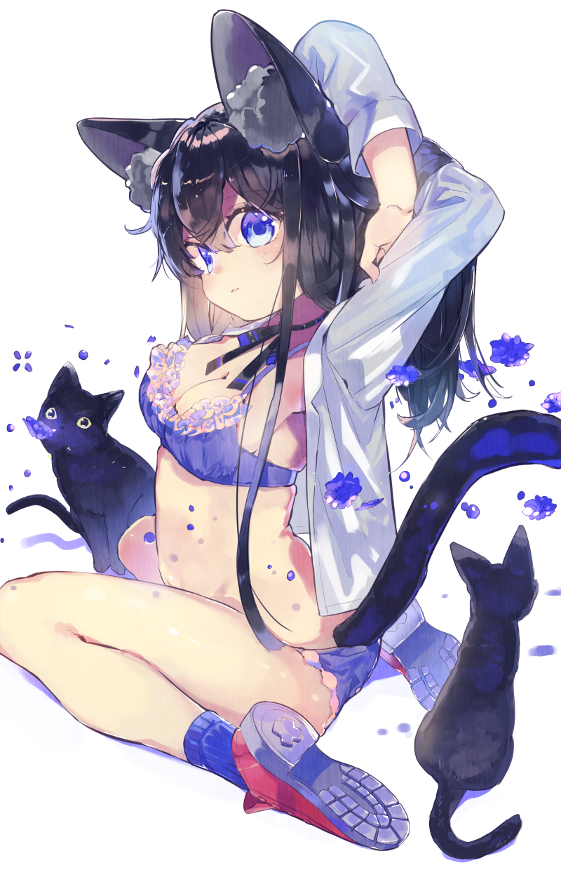 1girl, animal_ears, arms_behind_back, bangs, black_cat, black_hair, black_ribbon, blue_bra