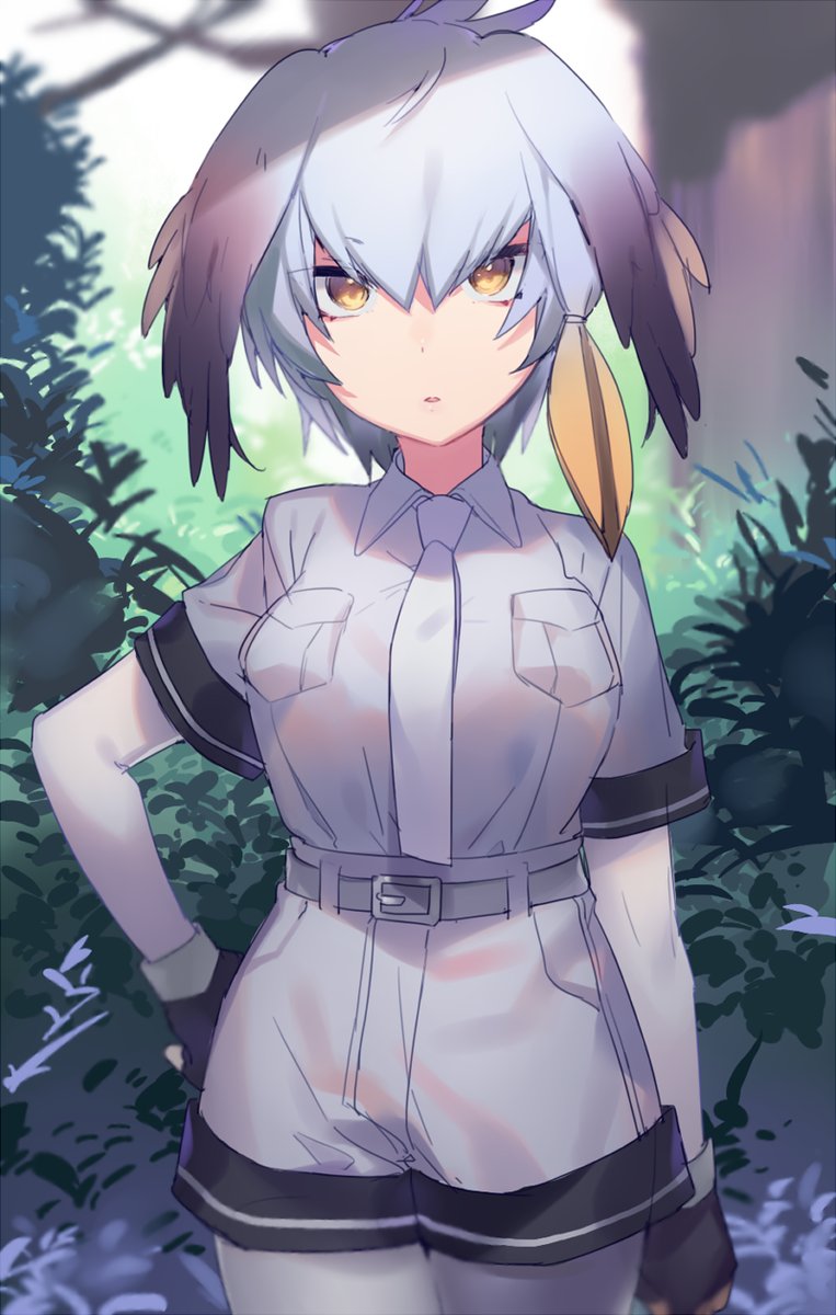 1girl, bangs, bird_wings, black_gloves, black_hair, breast_pocket, breasts, collared_shirt