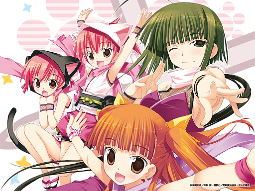 anya_cocolova, cat_ears, fujima_takuya, mahou_sensei_negima, mahou_sensei_negima!, nagase_kaede, narutaki_fumika, narutaki_fuuka