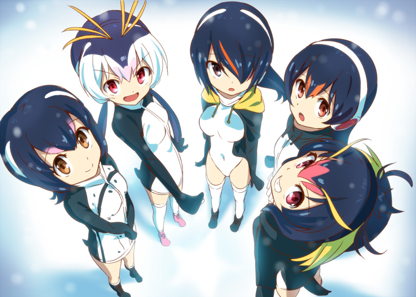 5girls, black_hair, blush, breasts, brown_eyes, covered_navel, emperor_penguin_(kemono_friends), from_above