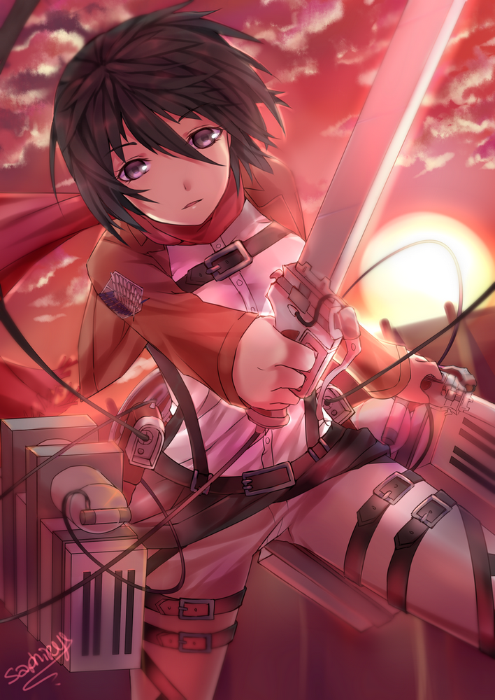 1girl, artist_request, black_eyes, black_hair, clouds, cropped_jacket, dutch_angle, mikasa_ackerman