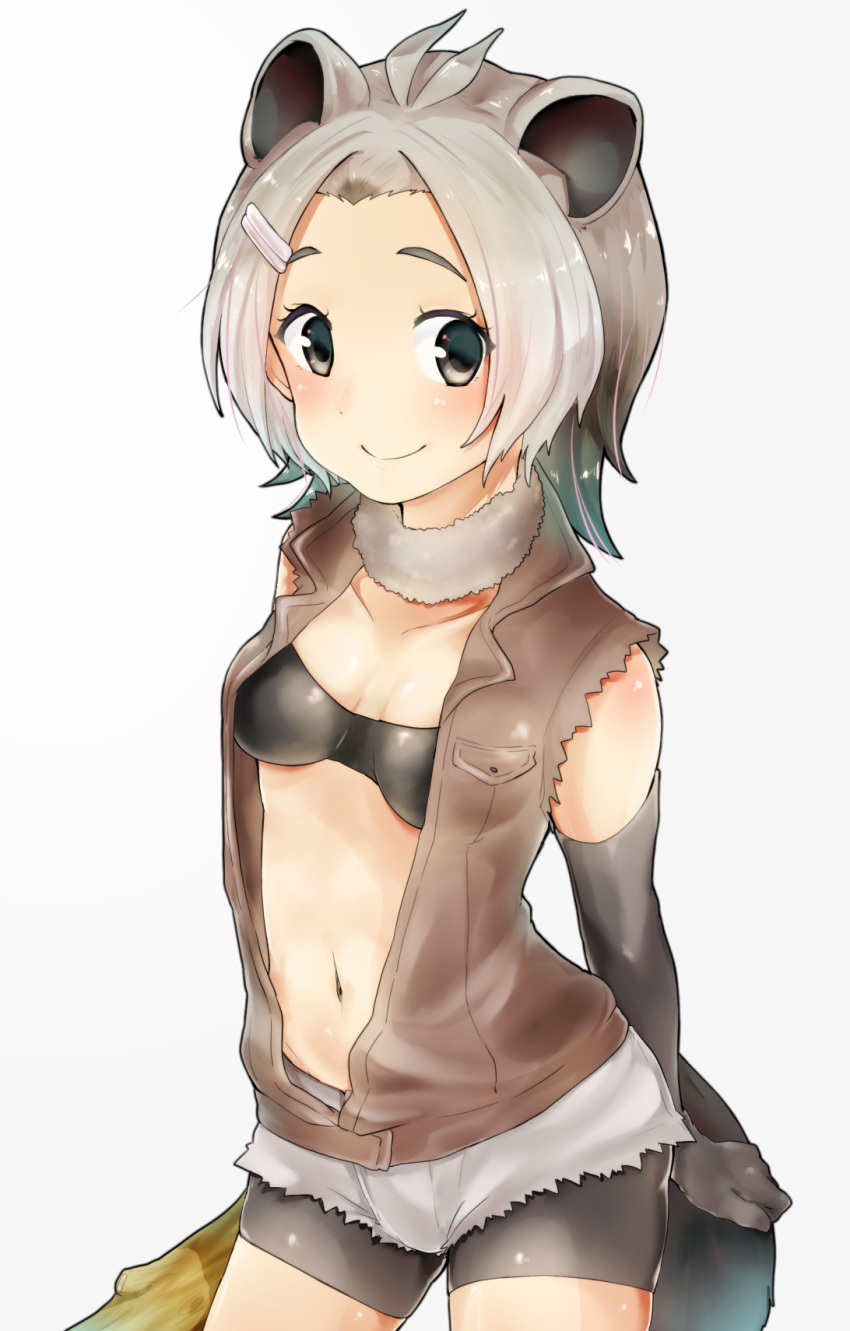 1girl, antenna_hair, bangs_pinned_back, bare_shoulders, beaver_ears, beaver_tail, bike_shorts, bikini_top, blush, breasts, cleavage, closed_mouth, collarbone, elbow_gloves, fur_collar, gloves, gradient_hair, green_eyes, grey_hair, hair_ornament, hairclip, highres, jacket, kemono_friends, log, looking_at_viewer, minoco_(sana_moko), multicolored_hair, navel, north_american_beaver_(kemono_friends), open_clothes, open_jacket, short_hair, shorts, simple_background, smile, solo, stomach, torn_clothes, torn_shorts, torn_sleeves, white_background, wood