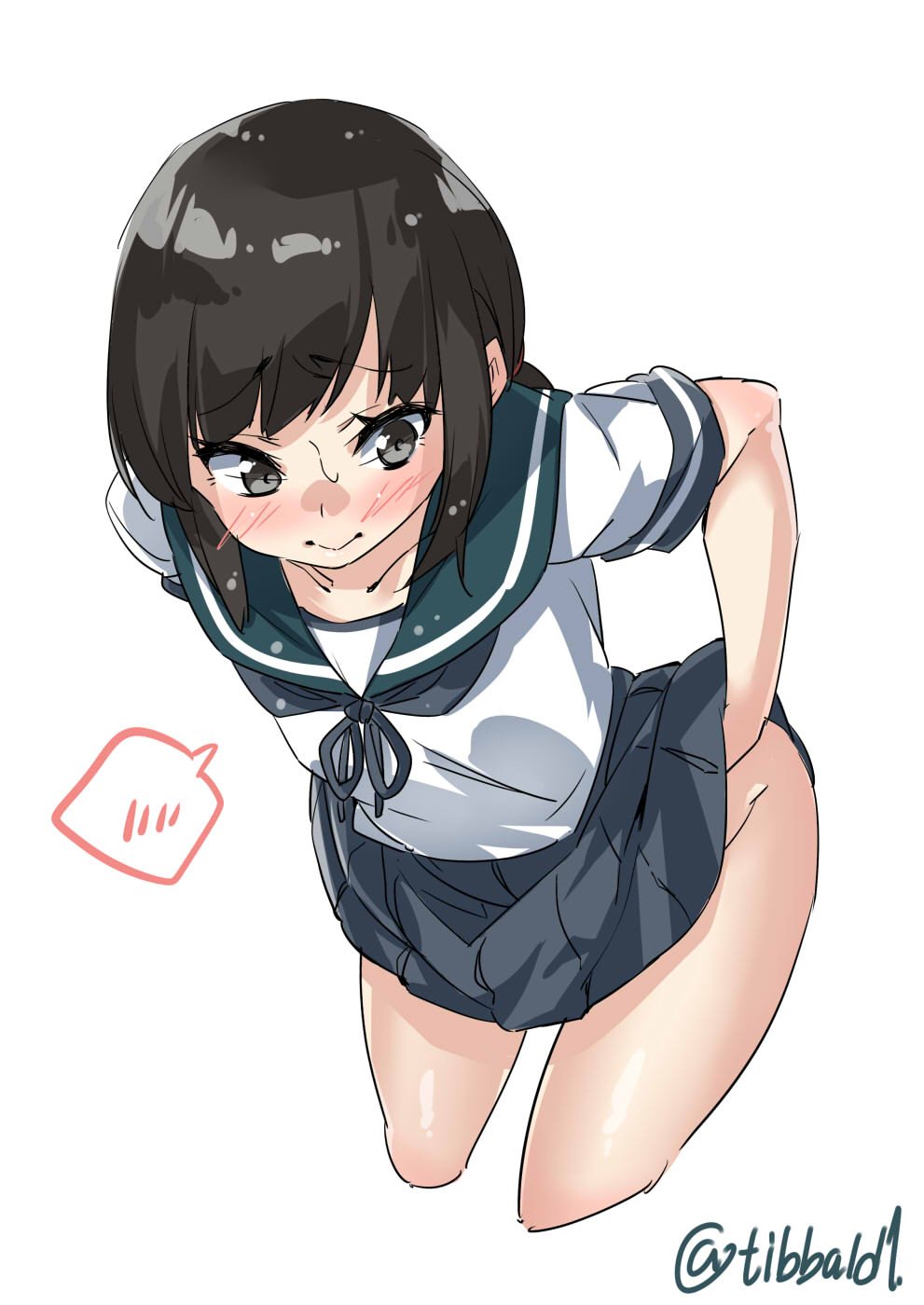1girl, bangs, black_eyes, black_hair, blue_skirt, blush, closed_mouth, collarbone