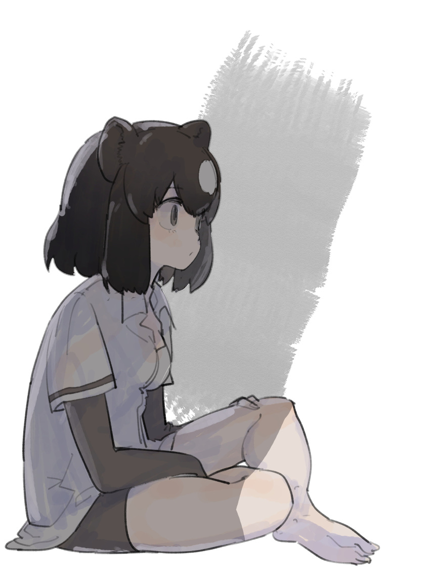 :/, absurdres, animal_ears, barefoot, bear_ears, between_legs, bike_shorts, breasts, brown_bear_(kemono_friends), brown_eyes, brown_gloves, brown_hair, collar, collared_shirt, elbow_gloves, empty_eyes, expressionless, eyelashes, fingerless_gloves, fingernails, from_side, full_body, gloves, grey_hair, hair_between_eyes, hand_between_legs, hand_on_own_thigh, highres, indian_style, kemono_friends, looking_away, medium_breasts, multicolored_hair, no_ribbon, profile, ritsu_(roboroboro), sanpaku, shadow, shirt, short_hair, shorts, simple_background, sitting, tareme, two-tone_hair, white_background, white_shirt