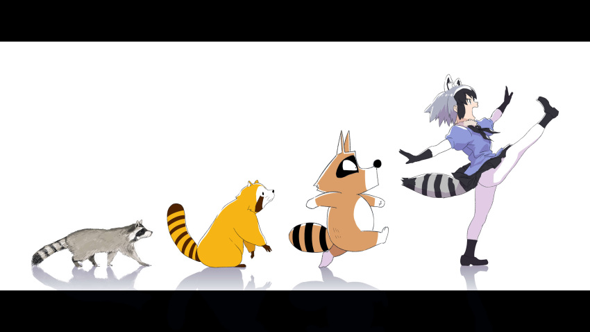 absurdres, animal, animal_ears, araiguma's_father_(bonobono), araiguma_rascal, black_gloves, black_hair, black_legwear