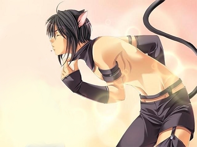 cat, catboy, chugo_chara, demon, ears, ikuto, male, neko, tail, tsukuyomi