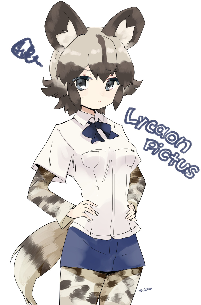 1girl, 3:, absurdres, african_wild_dog_(kemono_friends), african_wild_dog_ears, african_wild_dog_print, african_wild_dog_tail, animal_ears