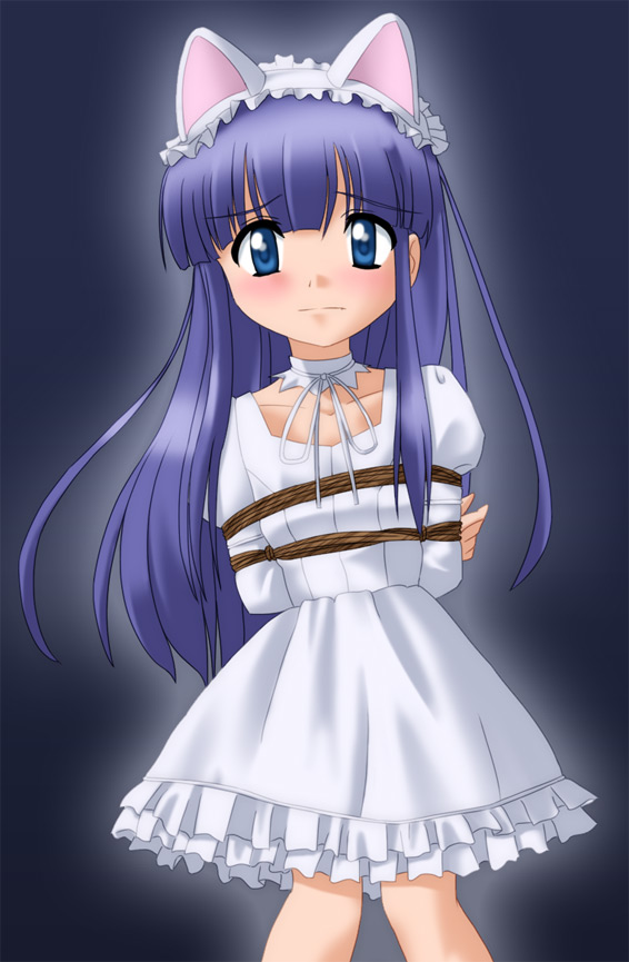 arms_behind, arms_behind_back, bdsm, blue_eyes, blush, bondage, box_tie, cat_ears