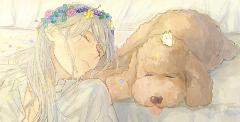 1boy, butterfly, butterfly_on_head, closed_eyes, dog, flower, head_wreath, long_hair