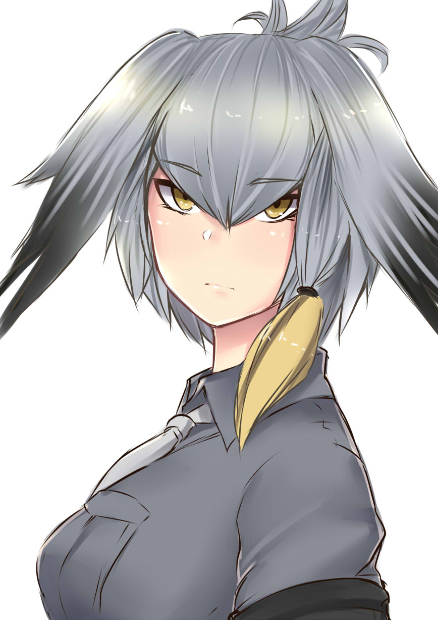 1girl, bangs, bird_wings, black_hair, breast_pocket, closed_mouth, collared_shirt, eyebrows_visible_through_hair