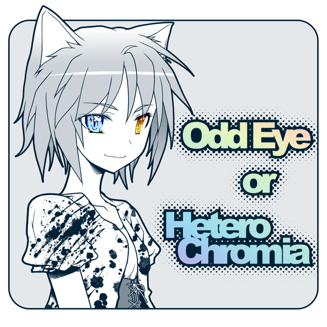 cat_ears, english, heterochromia, kurosu_tsugutoshi, muneaki_hamatsu, original, rounded_corners, short_hair