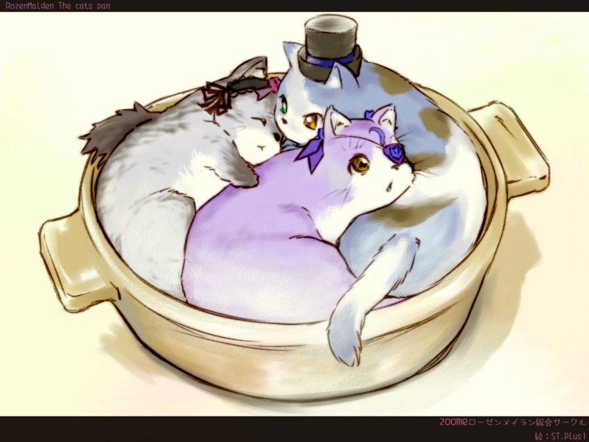 barasuishou, bow, cat, eyepatch, flower, green_eyes, hairband, hat