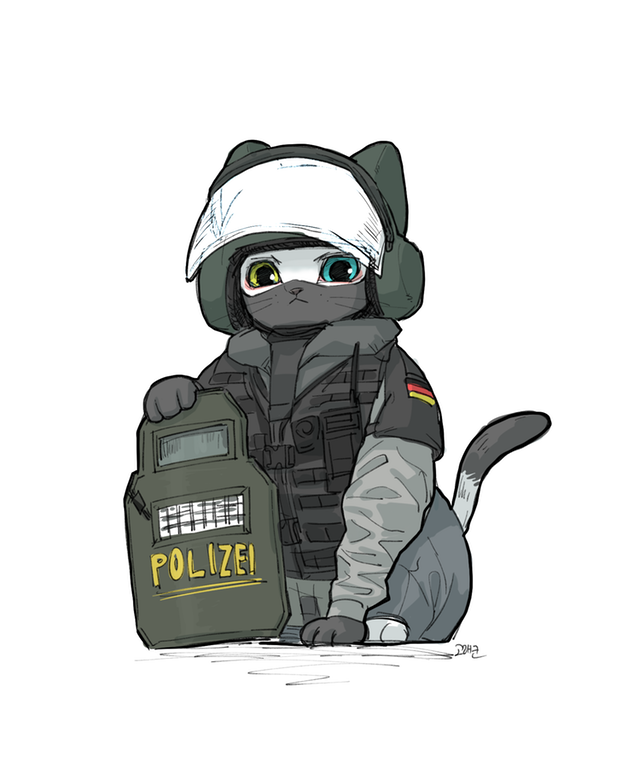 blitz_(rainbow_six_siege), bulletproof_vest, cat, golaegun, gsg_9, rainbow_six, rainbow_six_siege, riot_shield