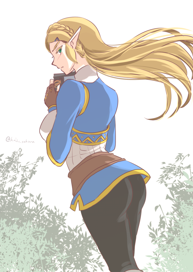 1girl, ass, braid, gloves, green_eyes, kaidou_mitsuki, long_hair, looking_at_viewer, pointy_ears, princess_zelda, the_legend_of_zelda, the_legend_of_zelda:_breath_of_the_wild