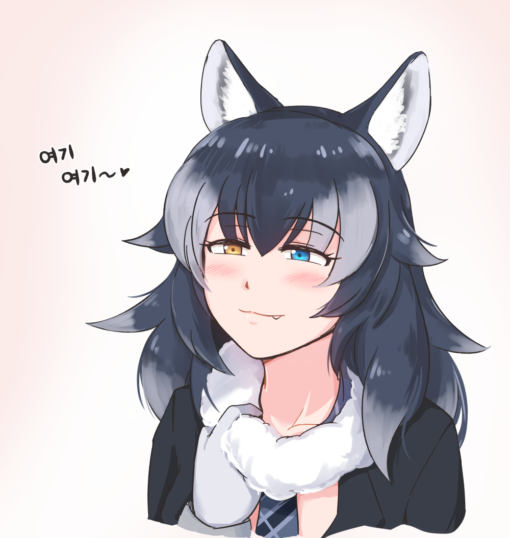 1girl, :3, animal_ears, black_hair, blue_eyes, blush, breasts, collarbone, fang, fur_collar, gloves, graphite_(medium), grey_wolf_(kemono_friends), heart, heterochromia, kemono_friends, korean, long_hair, long_sleeves, looking_at_viewer, mechanical_pencil, multicolored_hair, necktie, pencil, selby, solo, traditional_media, two-tone_hair, wolf_ears, yellow_eyes