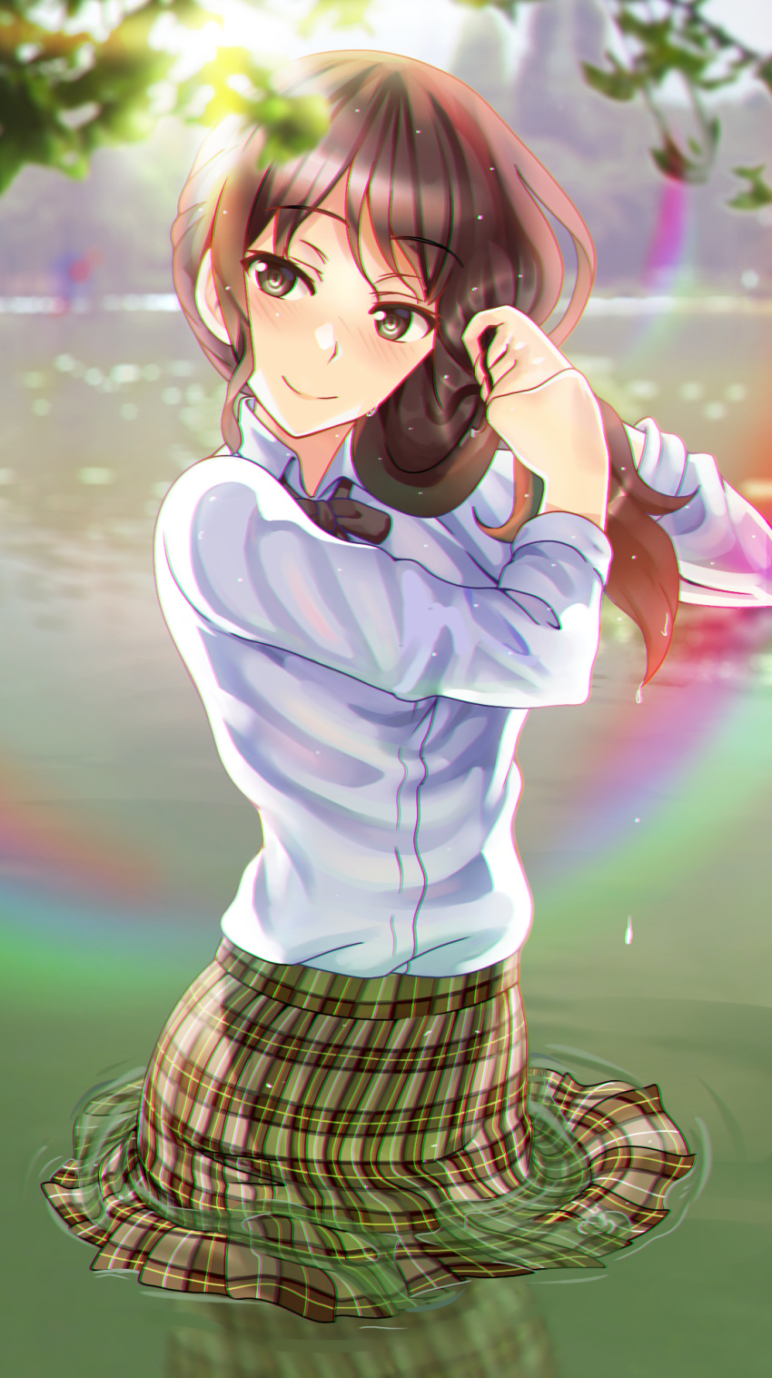 1girl, blurry, blush, brown_eyes, brown_hair, depth_of_field, highres, long_hair