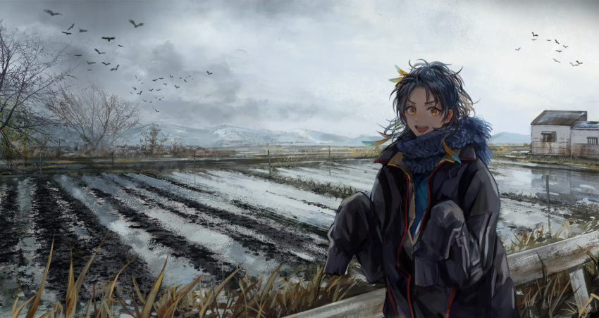 >:d, 1boy, 38ban, :d, bird, blue_hair, clouds, cloudy_sky