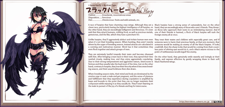 1girl, armpits, belt, black_hair, black_harpy, black_wings, blush, breasts, character_name, character_profile, choker, collar, collarbone, earrings, english, feathered_wings, feathers, full_body, fur, gluteal_fold, groin, hard_translated, harpy, jewelry, kenkou_cross, looking_at_viewer, miniskirt, monster_girl, monster_girl_encyclopedia, navel, pencil_skirt, pointy_ears, red_eyes, revision, short_hair, side_slit, skirt, small_breasts, solo, standing, standing_on_one_leg, text, thigh-highs, winged_arms, wings