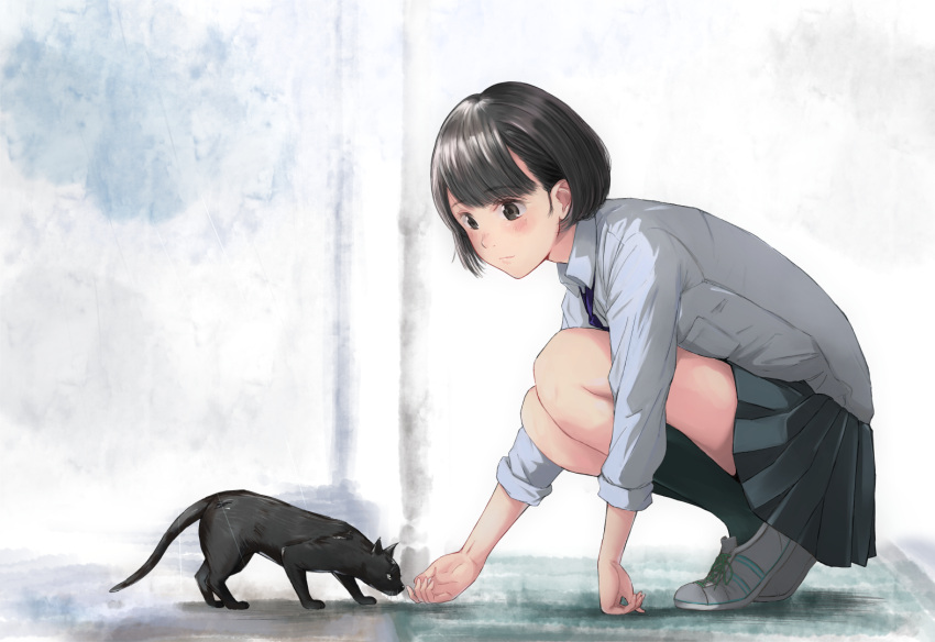 1girl, animal, black_cat, black_hair, black_legwear, blush, cat, commentary_request