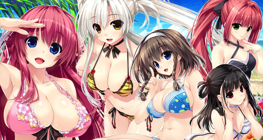 5girls, animal_print, bikini, black_hair, blue_bikini, blue_eyes, braid, brown_hair