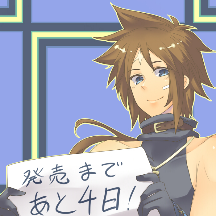 !, 1boy, 46hayate35, alba_(summon_night), bandaid, bandaid_on_face, bare_shoulders, blue_eyes, blush, brown_hair, gloves, jewelry, long_hair, male_focus, necklace, portrait, scar, solo, summon_night, summon_night_4