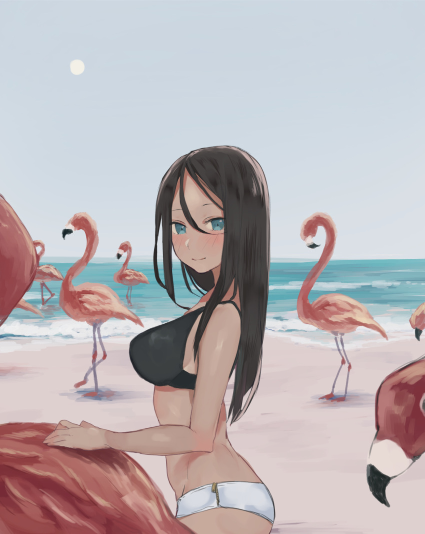 1girl, beach, bikini, bird, black_hair, blue_eyes, blush, breasts