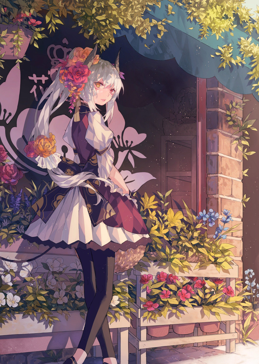 1girl, animal_ears, bare_shoulders, black_legwear, blue_flower, bow, brick_wall, cat_ears