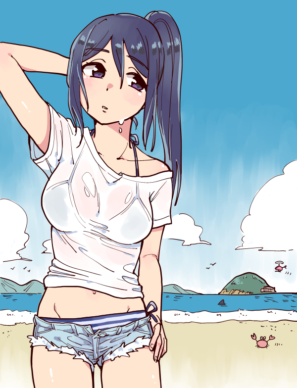 1girl, aircraft, beach, bikini, blue_hair, breasts, clouds, cloudy_sky