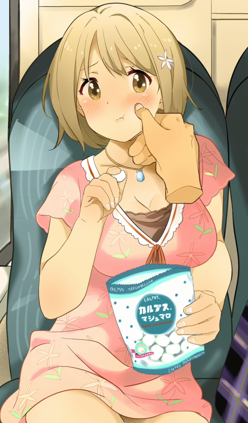 1girl, 216_zig, blush, breasts, brown_eyes, brown_hair, cardigan, cheek_pinching, cleavage, commentary_request, flower, hair_flower, hair_ornament, highres, holding, idolmaster, idolmaster_cinderella_girls, jewelry, looking_at_viewer, medium_breasts, mimura_kanako, necklace, pinching, plump, short_hair, short_sleeves, sitting