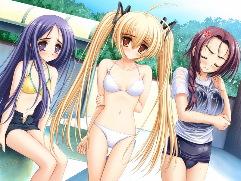 anger_vein, angry, bikini, blonde_hair, blue_hair, braid, brown_eyes, brown_hair