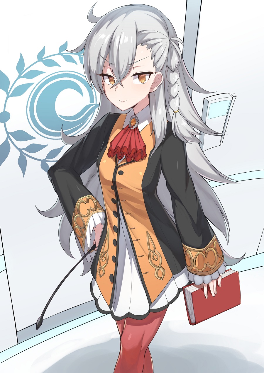 1girl, braid, breasts, brown_eyes, fate/grand_order, fate_(series), grey_hair, hand_on_hip