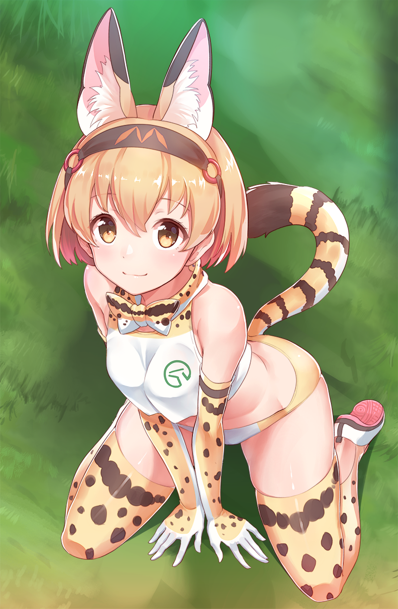 1girl, animal_ears, bare_shoulders, blonde_hair, bow, bowtie, breasts, buruma