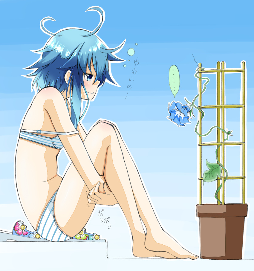 10s, 1girl, asymmetrical_hair, azumaya_(miyui001), barefoot, blue_background, blue_eyes, blue_flower