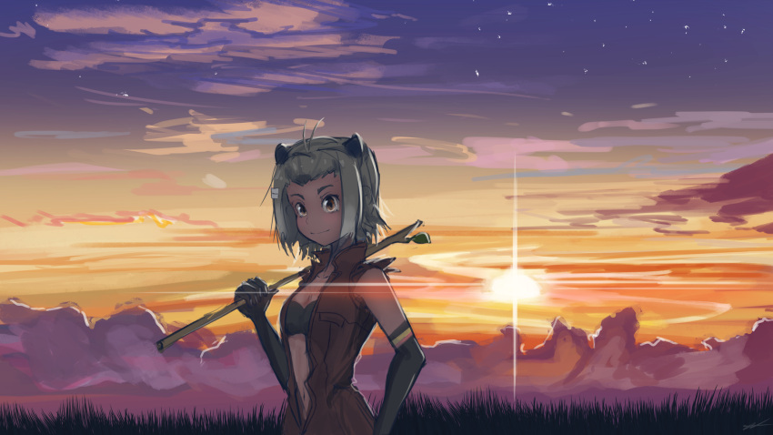 1girl, american_beaver_(kemono_friends), animal_ears, brown_eyes, dailuo, elbow_gloves, gloves, highres, kemono_friends, light_smile, navel, outdoors, sky, sleeveless, solo, stick, sunset, tagme, unzipped
