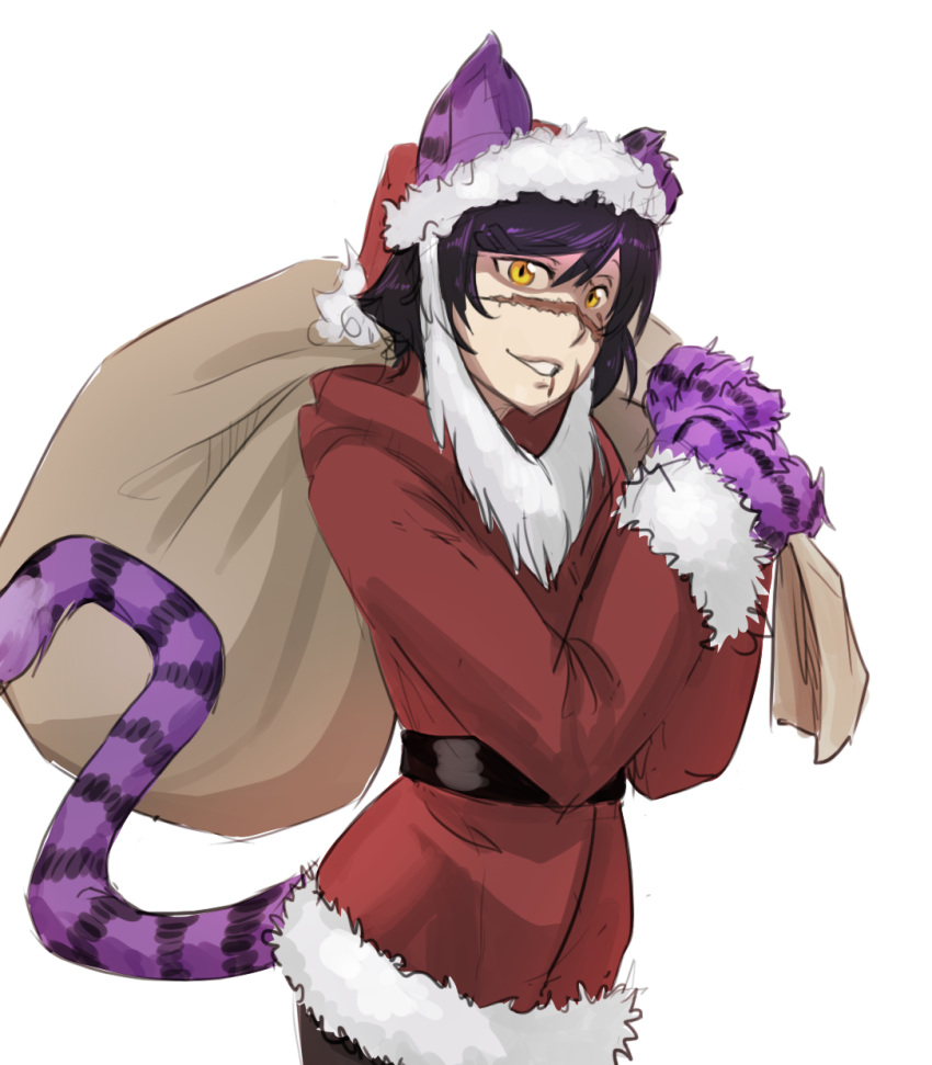 1girl, animal_ears, black_belt, cat_ears, cat_paws, cat_tail, cheshire_cat_(monster_girl_encyclopedia), facing_to_the_side, fake_beard, hat, highres, holding, laska_(monster_girl_encyclopedia), less, looking_at_viewer, monster_girl, monster_girl_encyclopedia, paws, sack, santa_costume, santa_hat, scar, scar_across_eye, scar_on_cheek, simple_background, slit_pupils, solo, striped_tail, tail, upper_body, white_background, yellow_eyes