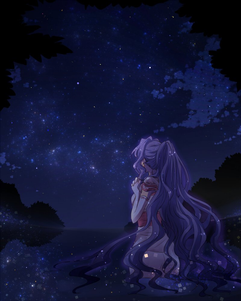 1girl, back, curly_hair, gloves, long_hair, night, night_sky, ponytail