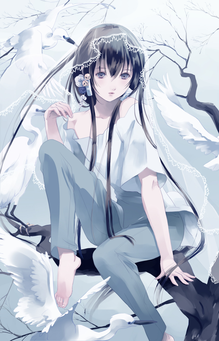 absurdres, arm_support, bare_shoulders, barefoot, bell, bird, black_hair, brown_eyes