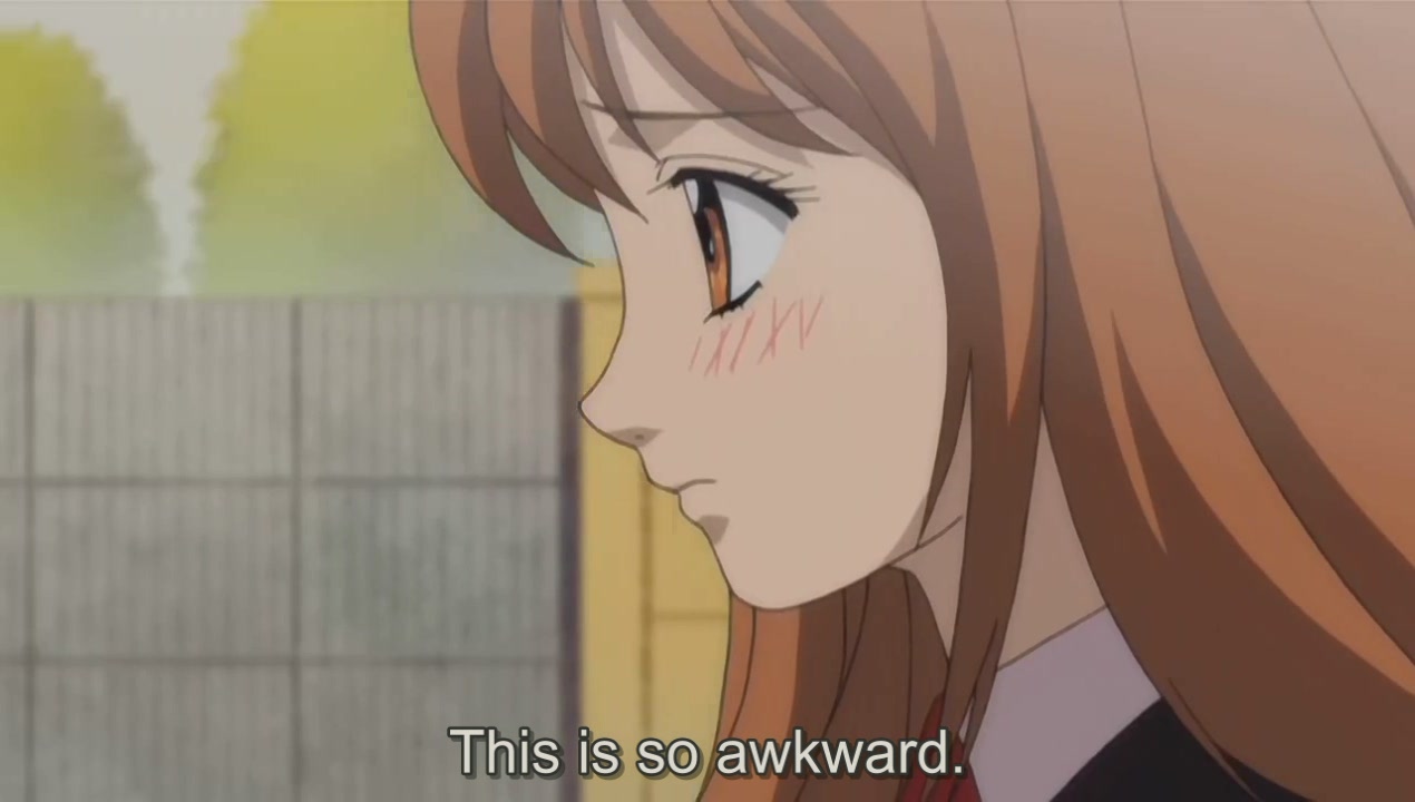 itazura_na_kiss, subtitled, tagme