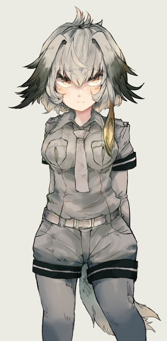 1girl, bangs, black_hair, collared_shirt, commentary_request, eyebrows_visible_through_hair, grey_hair, grey_necktie