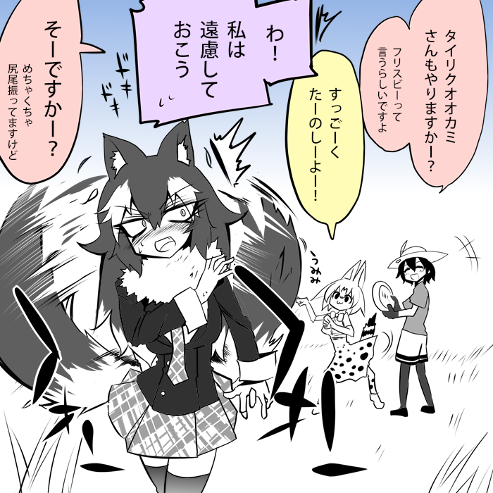 10s, 3girls, animal_ears, blush, commentary, eri_(yangyang_nickbow), fang, frisbee, grey_wolf_(kemono_friends), hat, kaban_(kemono_friends), kemono_friends, multiple_girls, pantyhose, serval_(kemono_friends), tail_wagging, thigh-highs, translated
