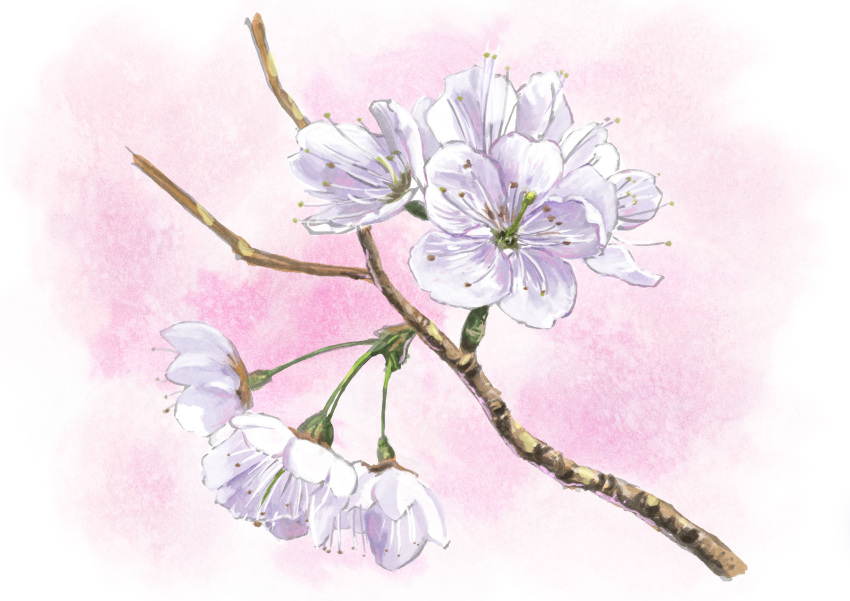 absurdres, branch, close-up, flower, flower_request, highres, hirota_(masasiv3), nature