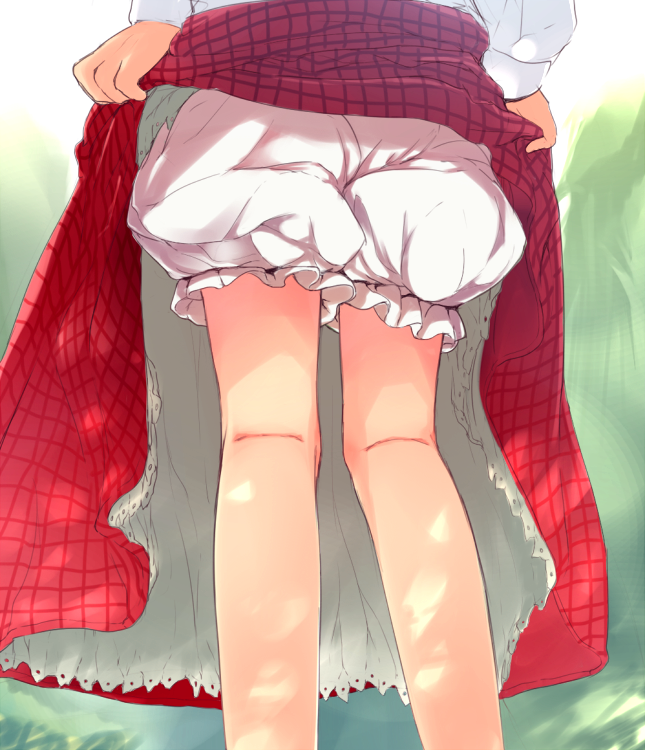 1girl, bare_legs, bloomers, close-up, flan_(harry_mackenzie), from_behind, kazami_yuuka, lifted_by_self
