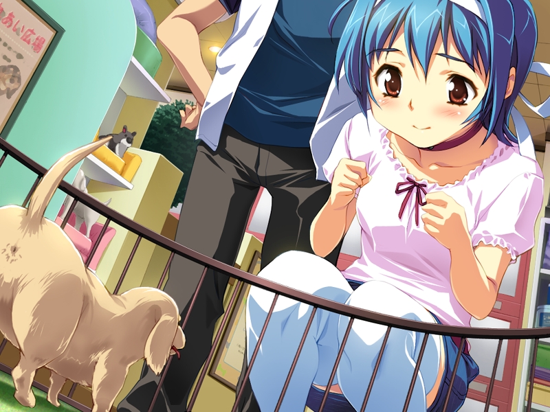 anus, aqua_eyes, blue_hair, blush, brown_eyes, choker, collar, crouching, dog, game_cg, hair_ribbon, hairband, honda_yuuna, kneeling, puppy, ribbon, sameda_koban, short_hair, skirt, smile, squatting, thigh-highs, thighhighs, white_legwear, white_thighhighs
