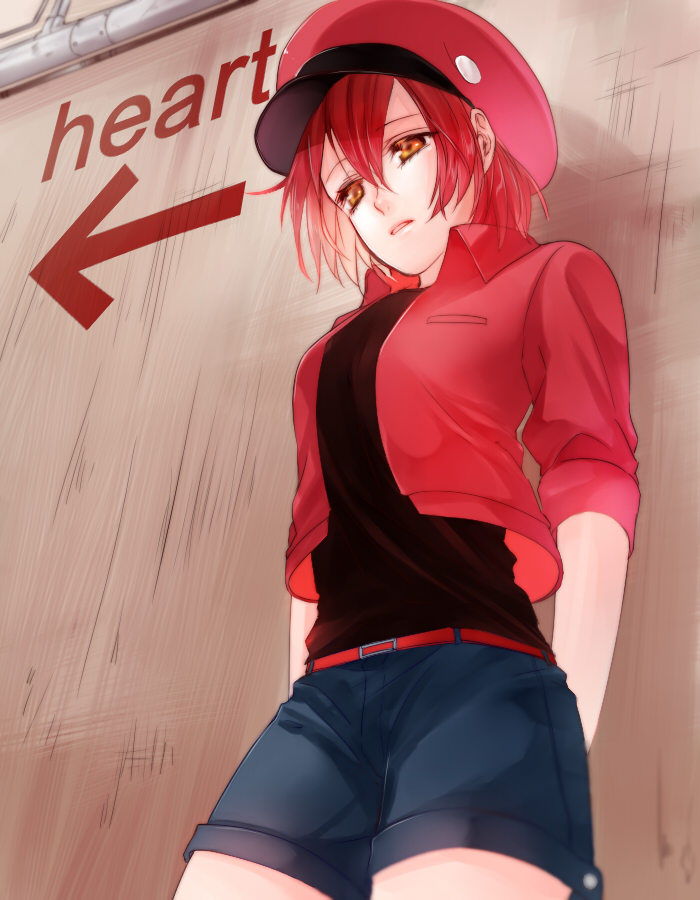 1girl, ae-3803, belt, beret, bou_(maimoca501), hat, hataraku_saibou, jacket