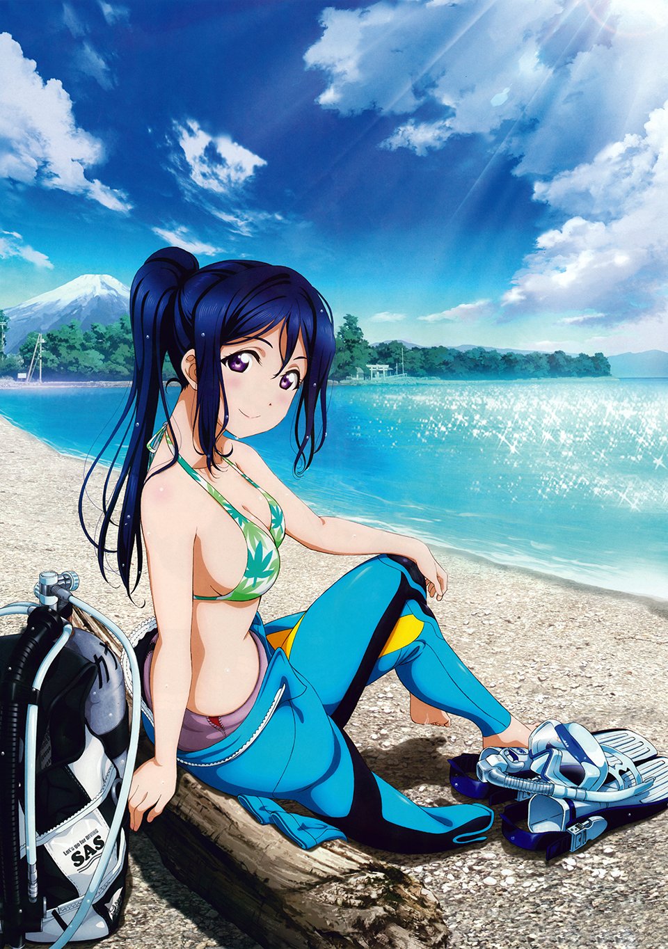 1girl, artist_request, beach, bikini, blue_hair, clouds, diving_mask, fins