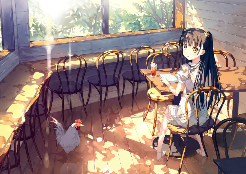 1girl, araragikoyomis, bangs, bird, blush, book, brown_hair, chair
