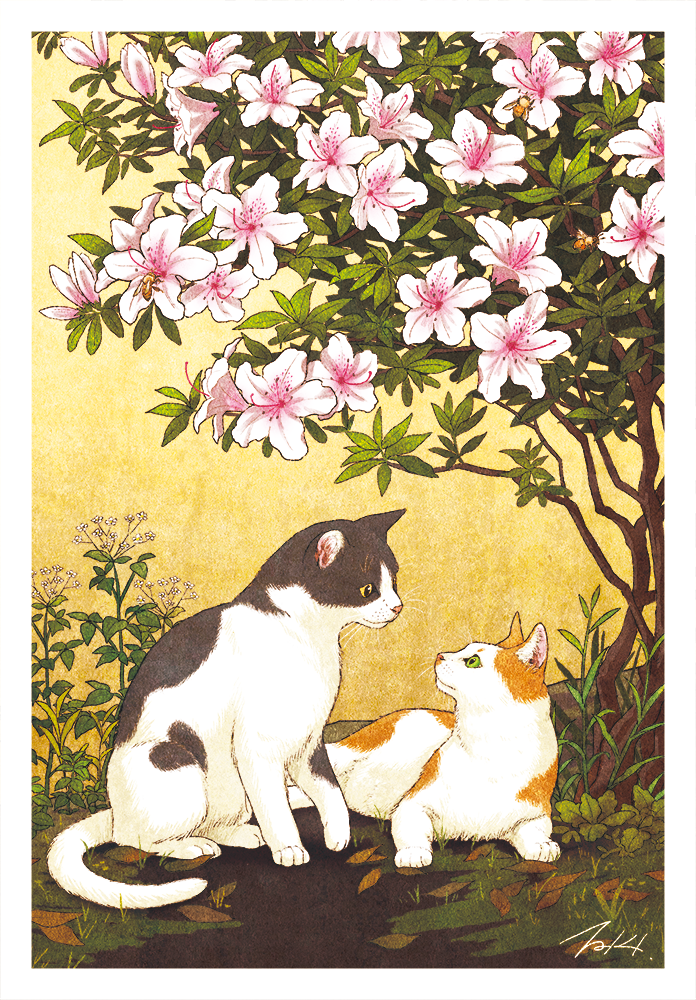 animal, artist_name, azalea_(flower), bee, cat, cat_focus, eye_contact, flower