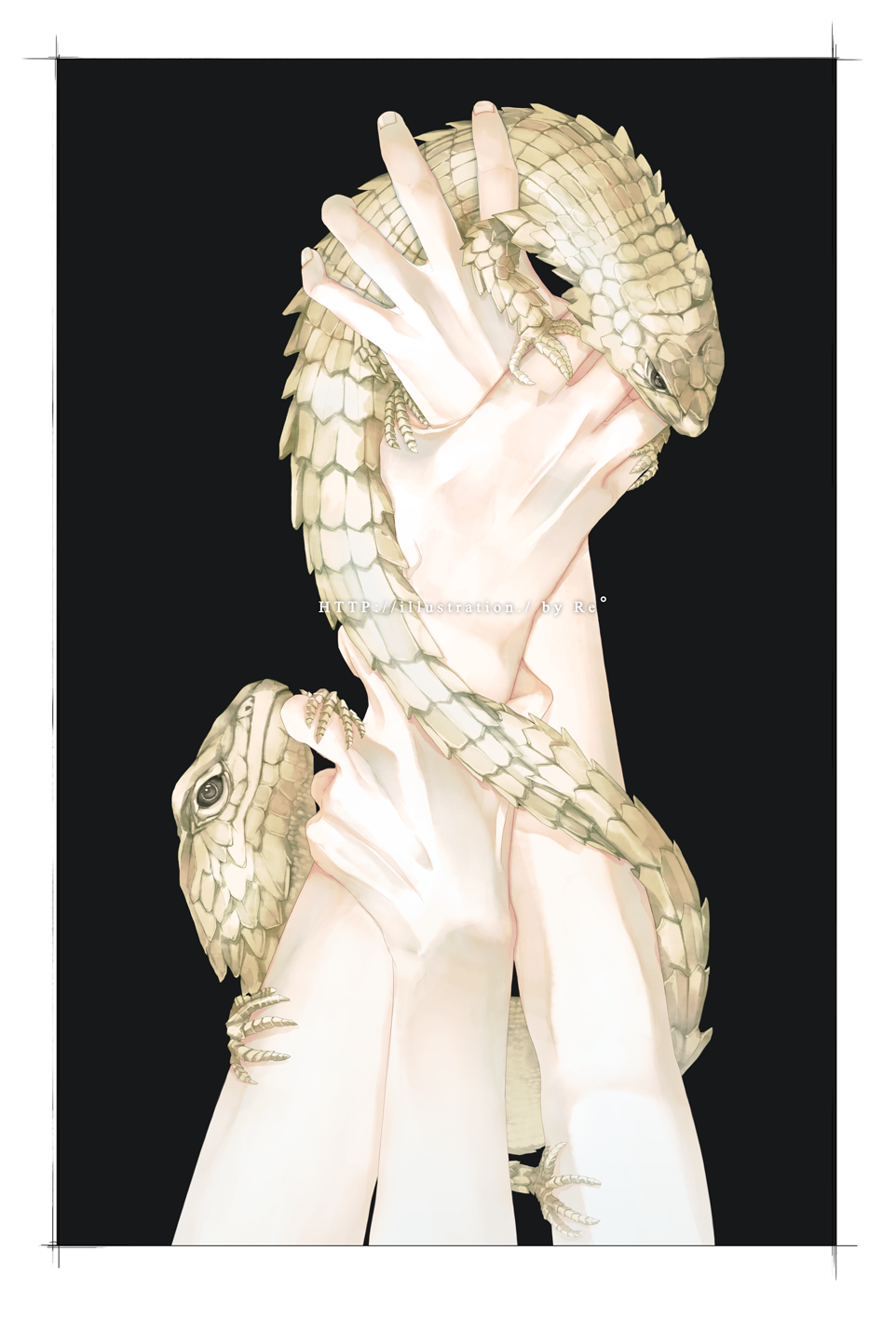 animal_on_arm, black_background, hands, head_out_of_frame, highres, lizard, original, out_of_frame