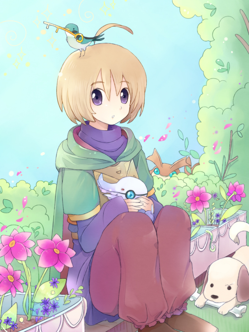 1boy, ahoge, animal, animal_on_head, bird, bird_on_head, blue_sky, bone