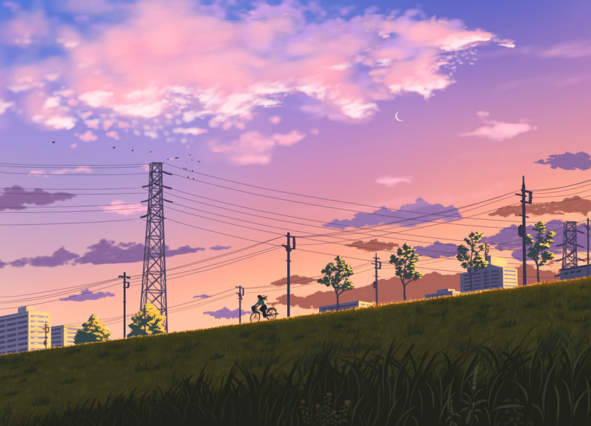 1girl, bicycle, bird, blue_sky, brown_hair, clouds, cloudy_sky, commentary_request, doora_(dora0913), evening, gradient_sky, grass, ground_vehicle, long_hair, original, outdoors, power_lines, purple_sky, scenery, sky, solo, telephone_pole, transmission_tower, tree, twilight
